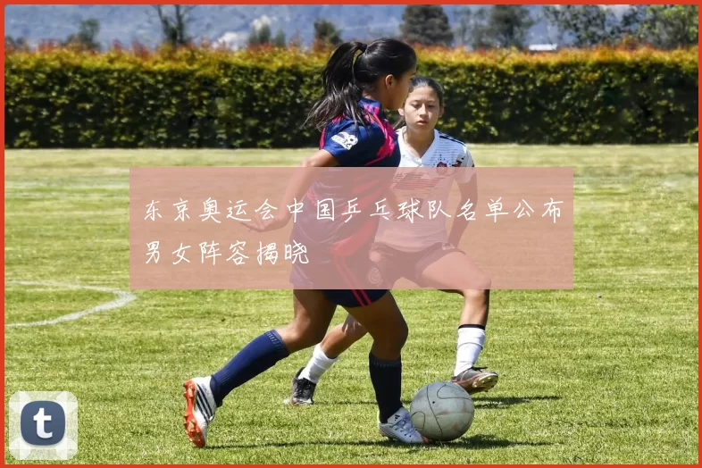 东京奥运会中国乒乓球队名单公布男女阵容揭晓